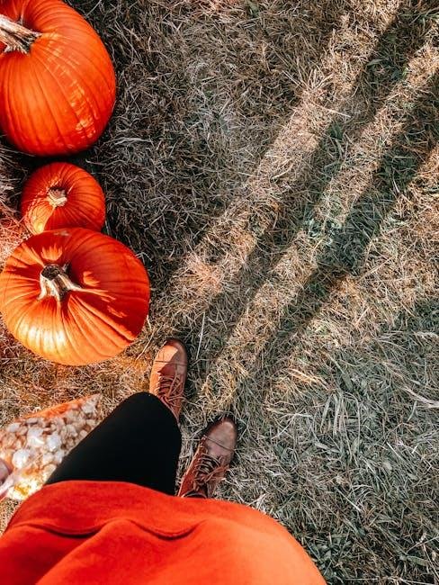 Must-Have ‍Footwear ‍for a ‍Perfect⁢ thanksgiving